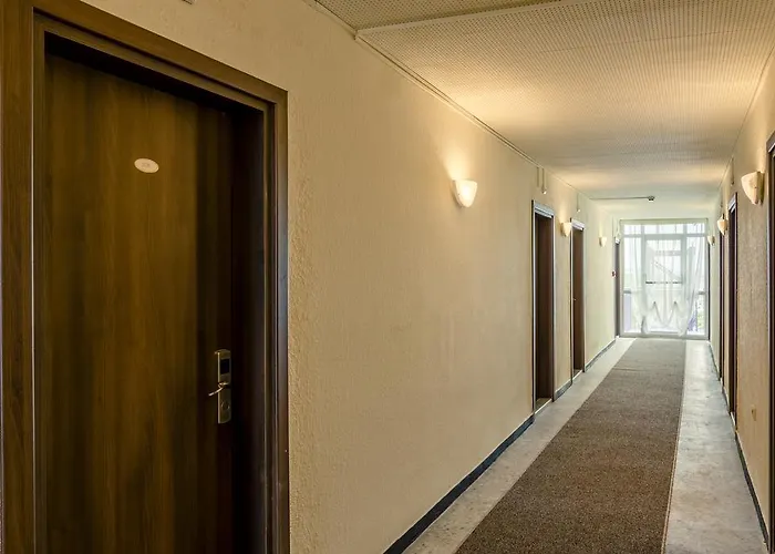 Svejest Солнечный берег